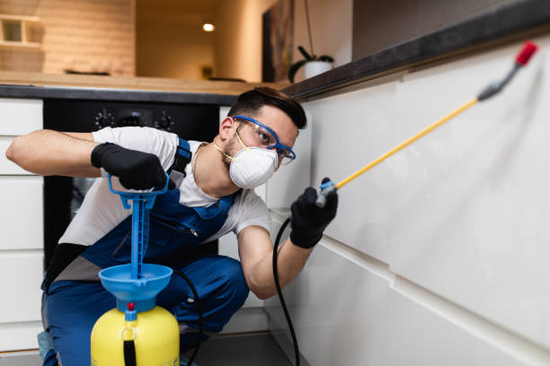 Best Ant Control Services  in Sandwich, IL