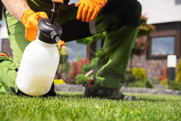 Best Affordable Exterminators  in Sandwich, IL