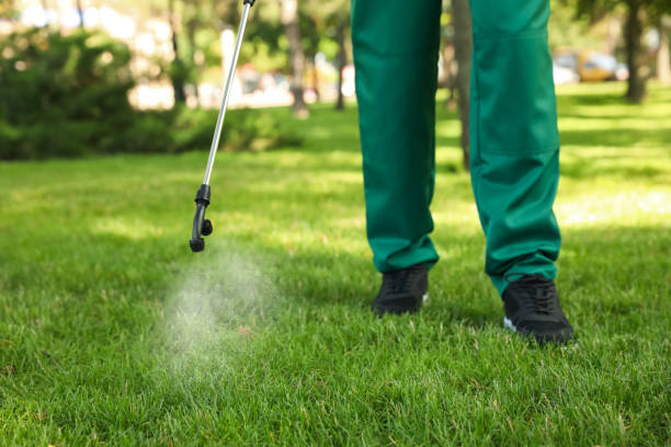 Best Rat Extermination Near Me  in Sandwich, IL