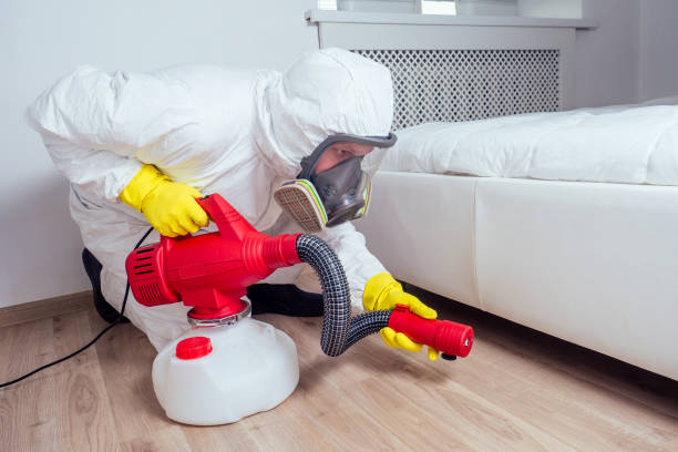 Flea Control Services in Sandwich, IL