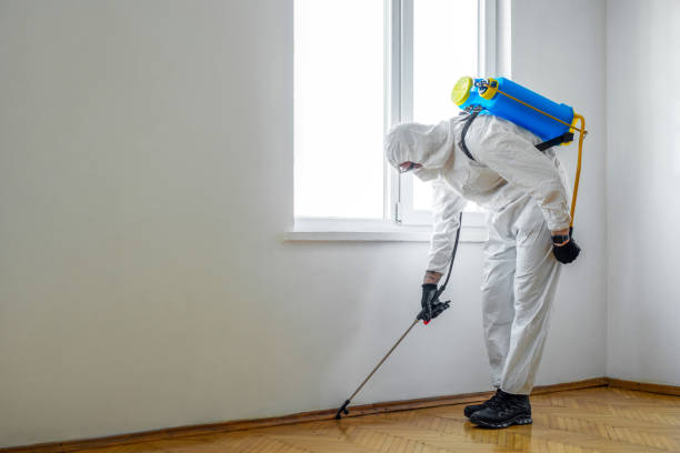 Professional Pest Control in Sandwich, IL