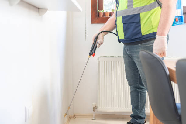 Best Termite Control Services  in Sandwich, IL
