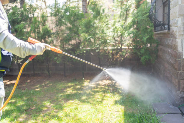 Bird Control in Sandwich, IL
