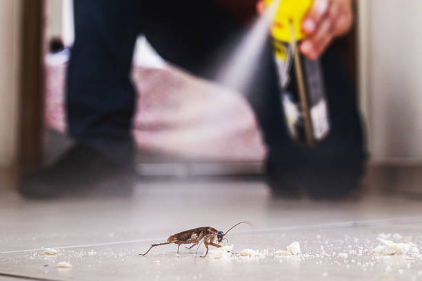 Pest Control for Restaurants in Sandwich, IL