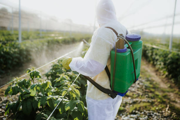 Best Insect Control  in Sandwich, IL